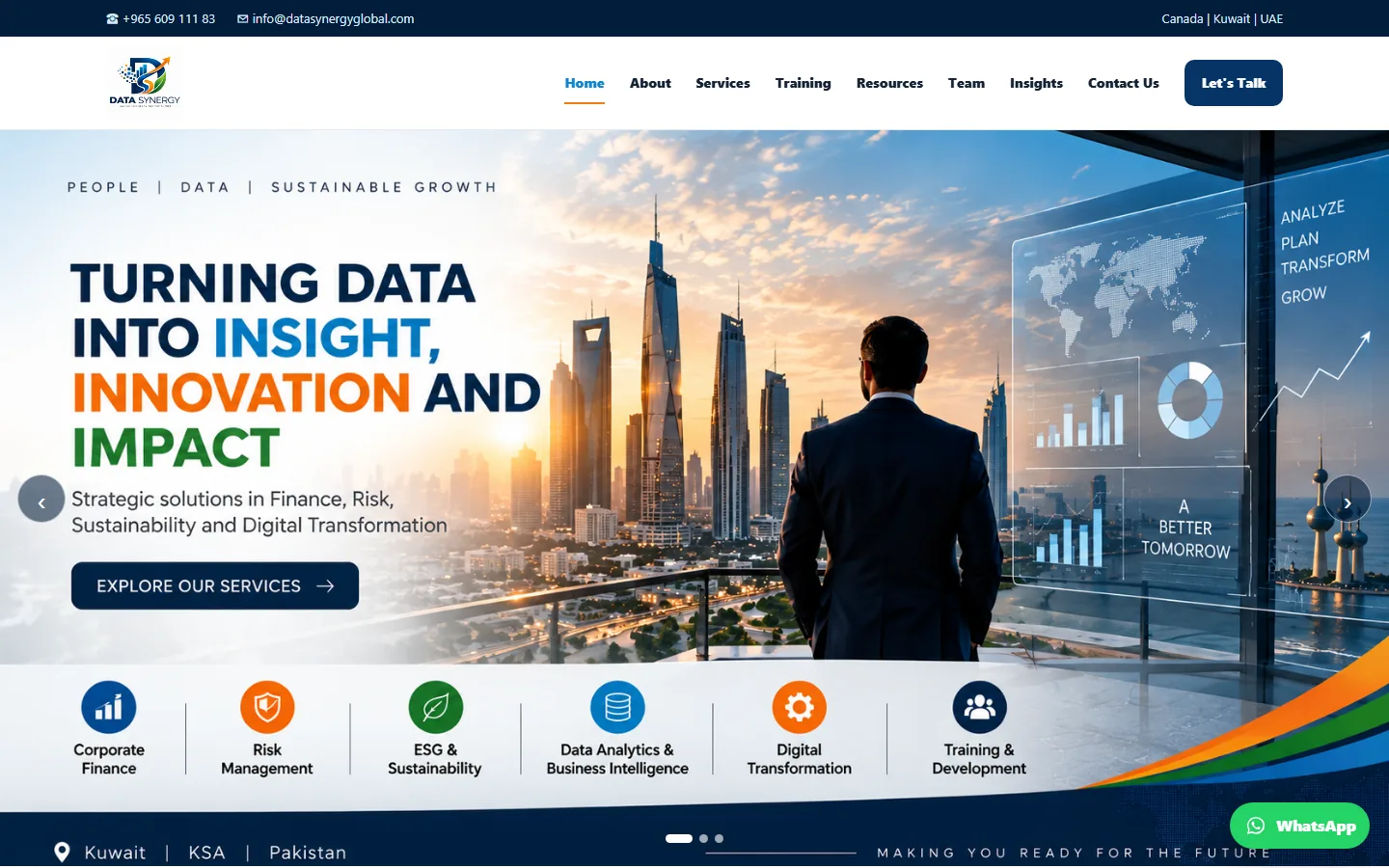 Data Synergy Global website home page